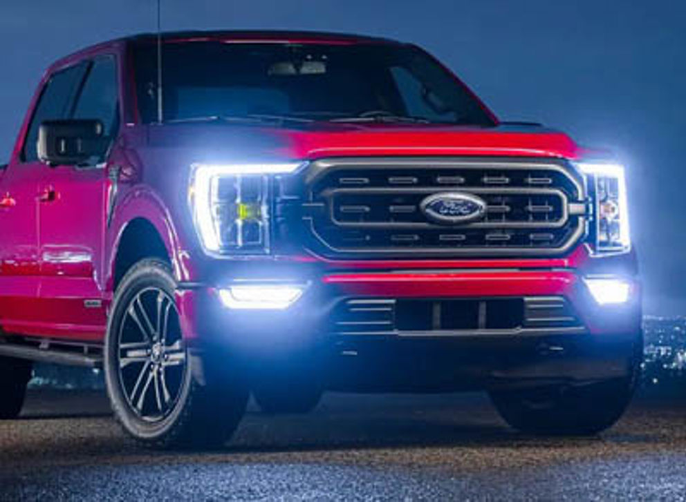 Cat_verlichting.jpg